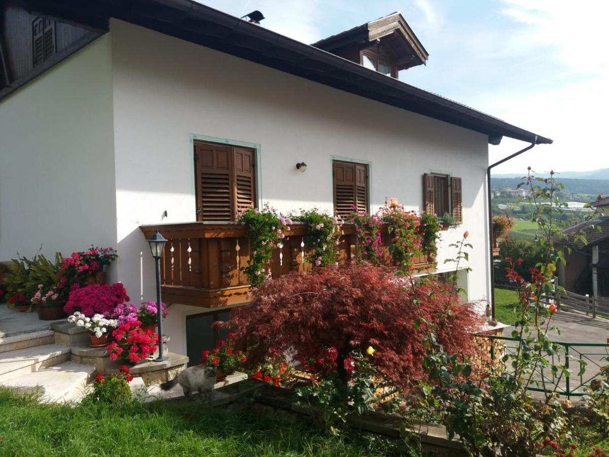 Appartamento Cologna Castelfondo Exterior photo