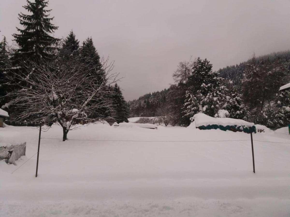 Appartamento Cologna Castelfondo Exterior photo